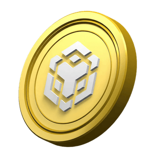 BNB coin